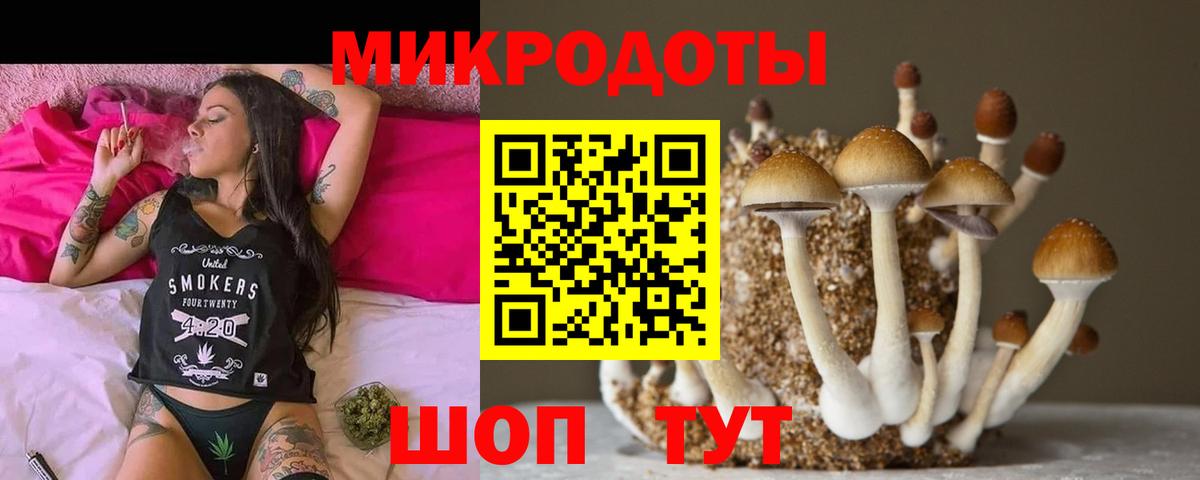 Моздок  Галлюциногенные грибы Psilocybe  Псилоцибиновые грибы ЛСД  Вход с VPN 
